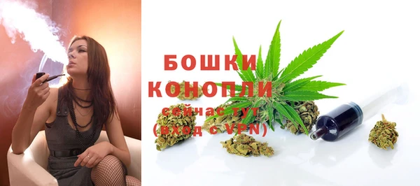 соль ск Новозыбков