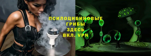 соль ск Новозыбков