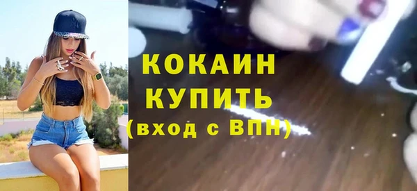 соль ск Новозыбков