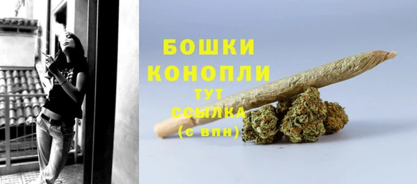 соль ск Новозыбков