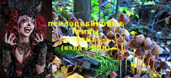 марихуана Новодвинск