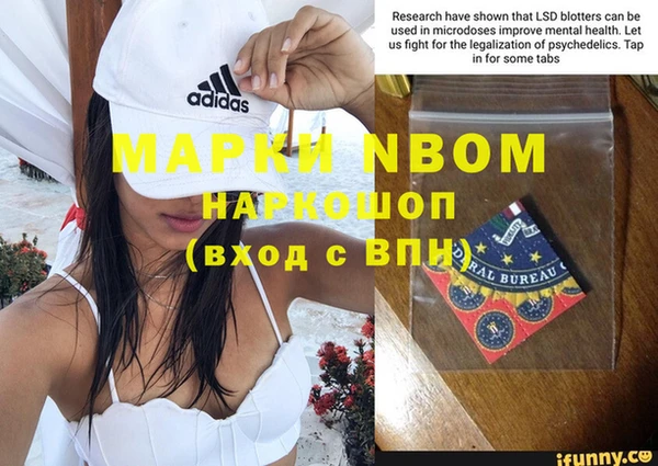 соль ск Новозыбков