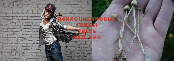 MESCALINE Новокубанск