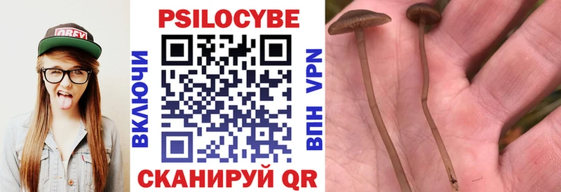Псилоцибиновые грибы Psilocybine cubensis гидра как войти дарк нет Telegram Лысьва