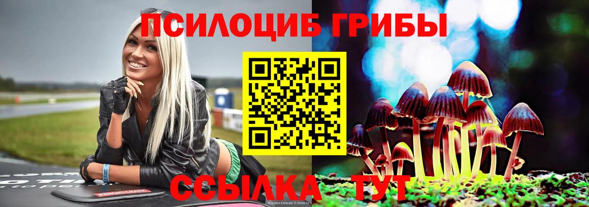Псилоцибиновые грибы мицелий  Вход с VPN  где купить наркоту  Лысьва 